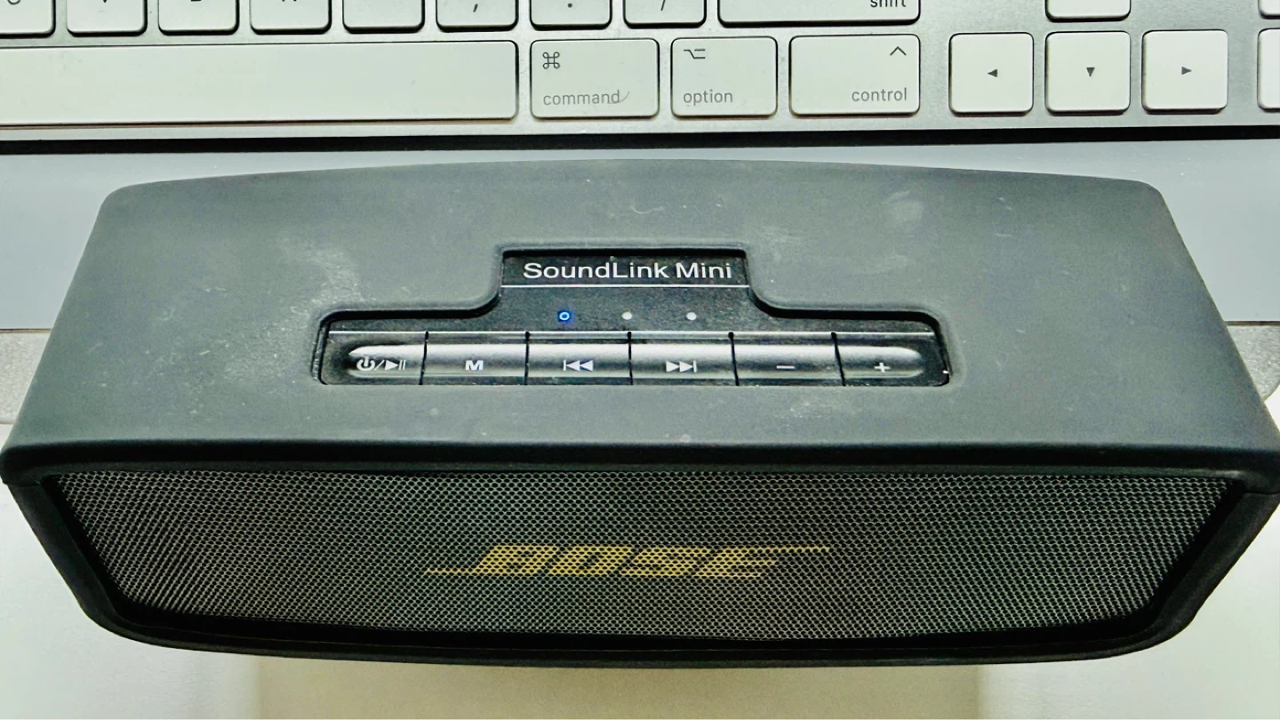 SoundLink Mini Bluetooth Speaker