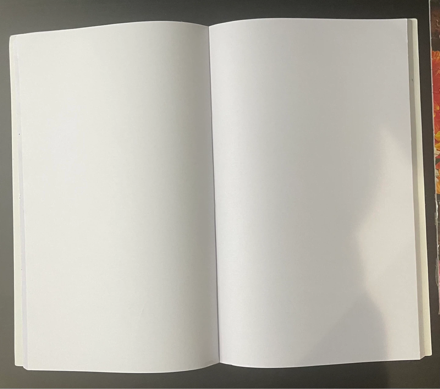 Classmate Note Book - photo 3