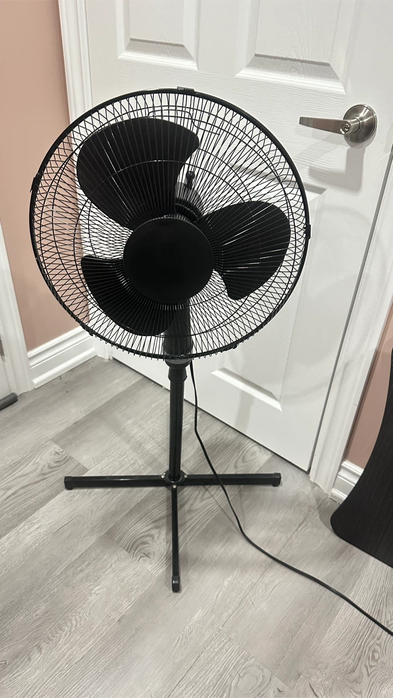 Black Stand Fan