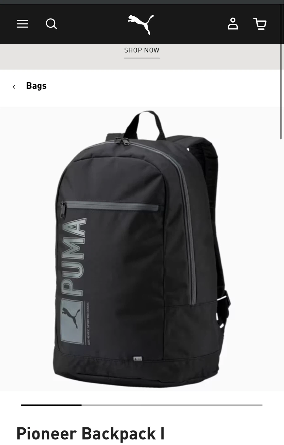 BNWT Puma Pioneer Backpack - 25L