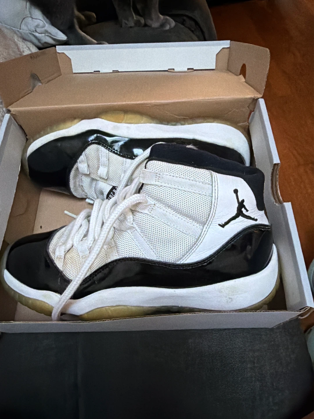 Air Jordan 11 Retro "Concord"