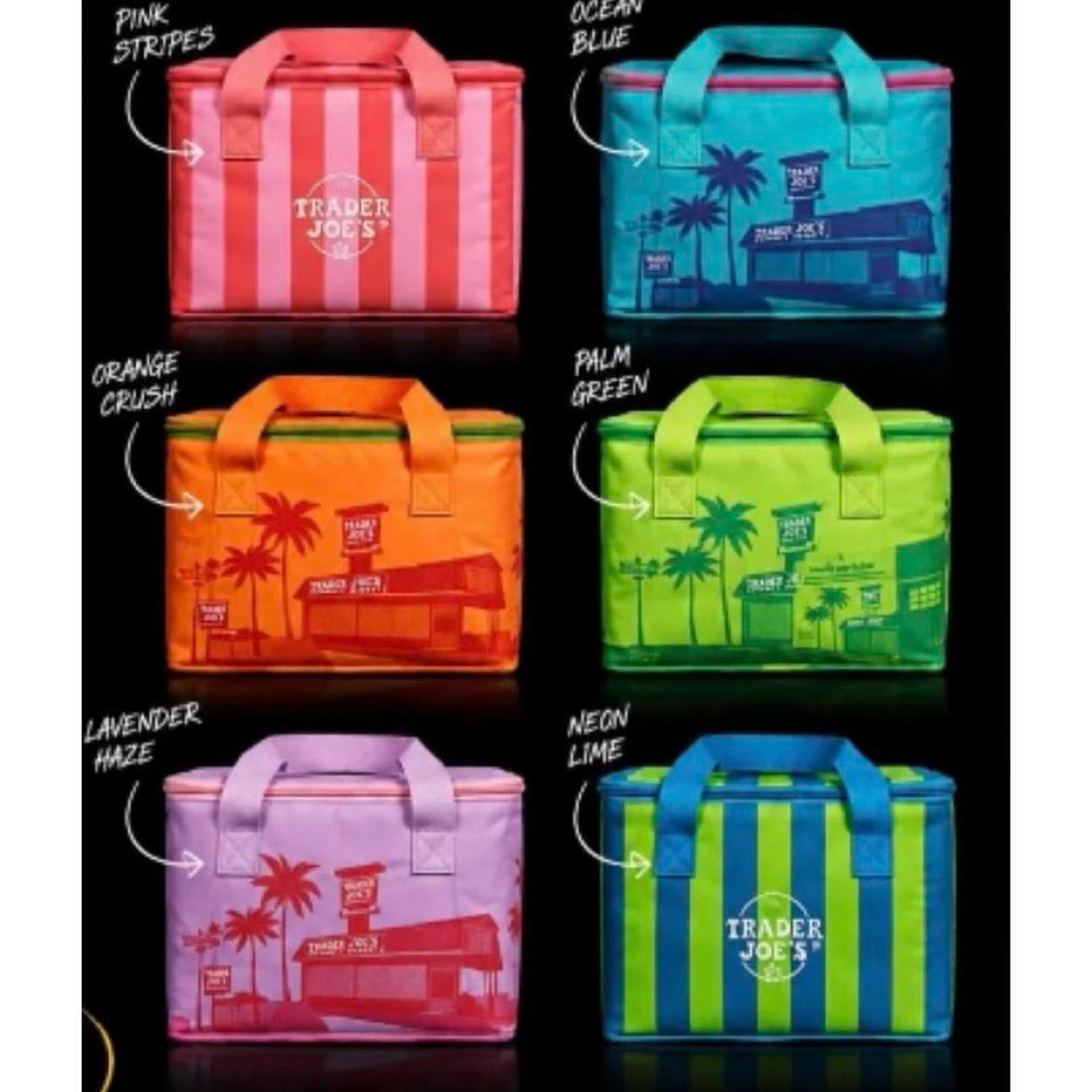 Trader Joe's Cooler Bag