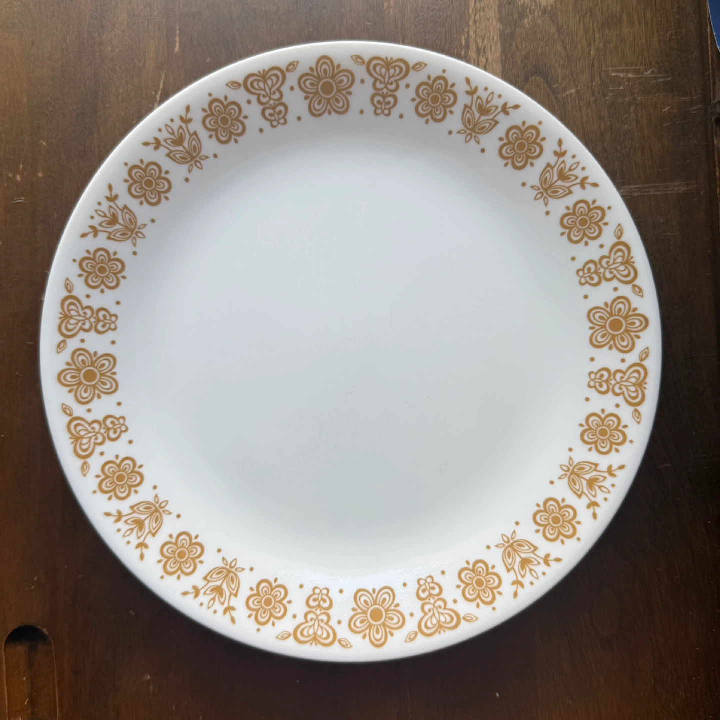 Corelle Butterfly Floral Plates (Set of 5)