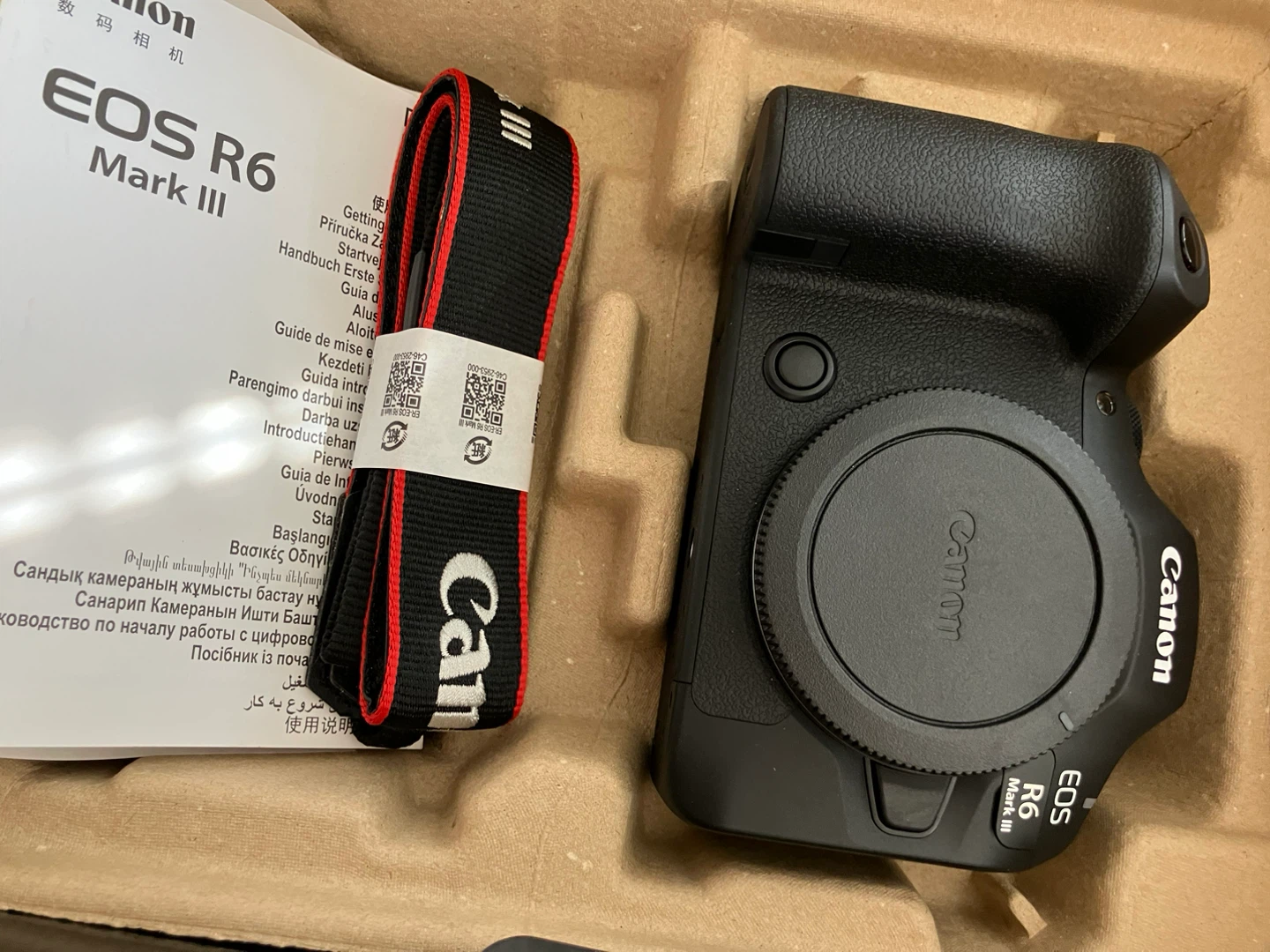 Canon R6 mark iii camera