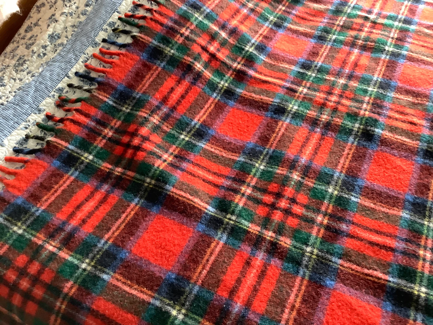 Vt Eaton’s of Canada Haddon Hall Wool Travel Rug/Blanket 🐞 - photo 3