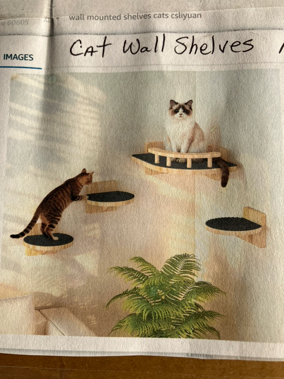 Cat Wall Shelves New In Box!