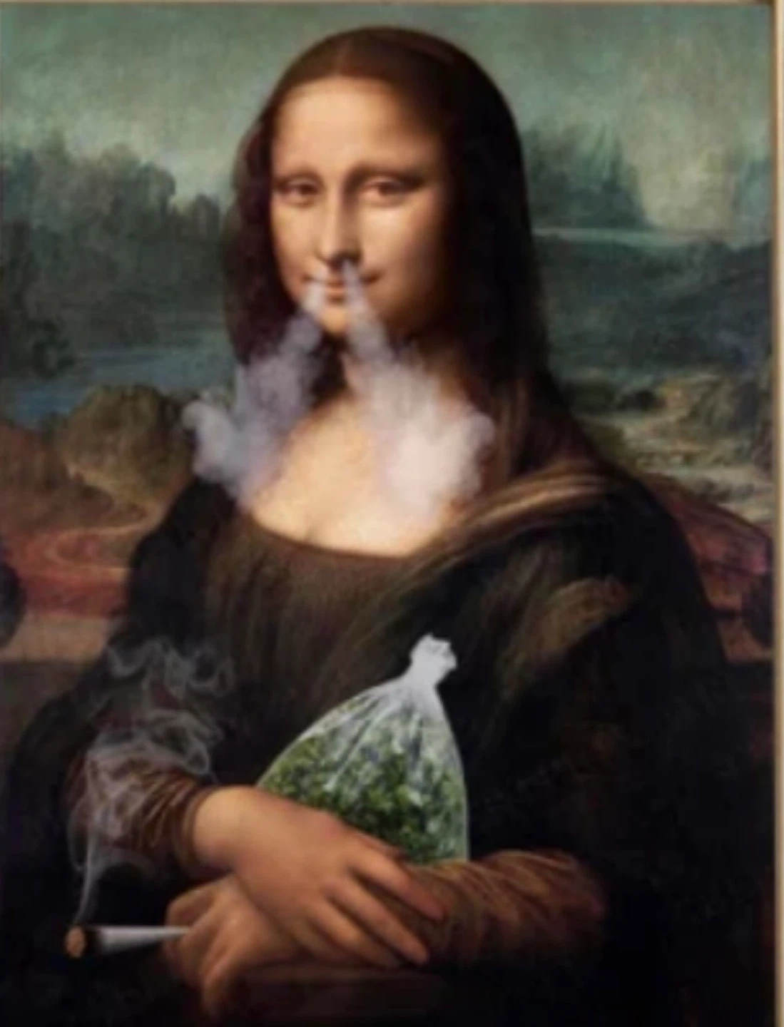 Mona Lisa Parody Poster - Black Michael’s Frame included - photo 2