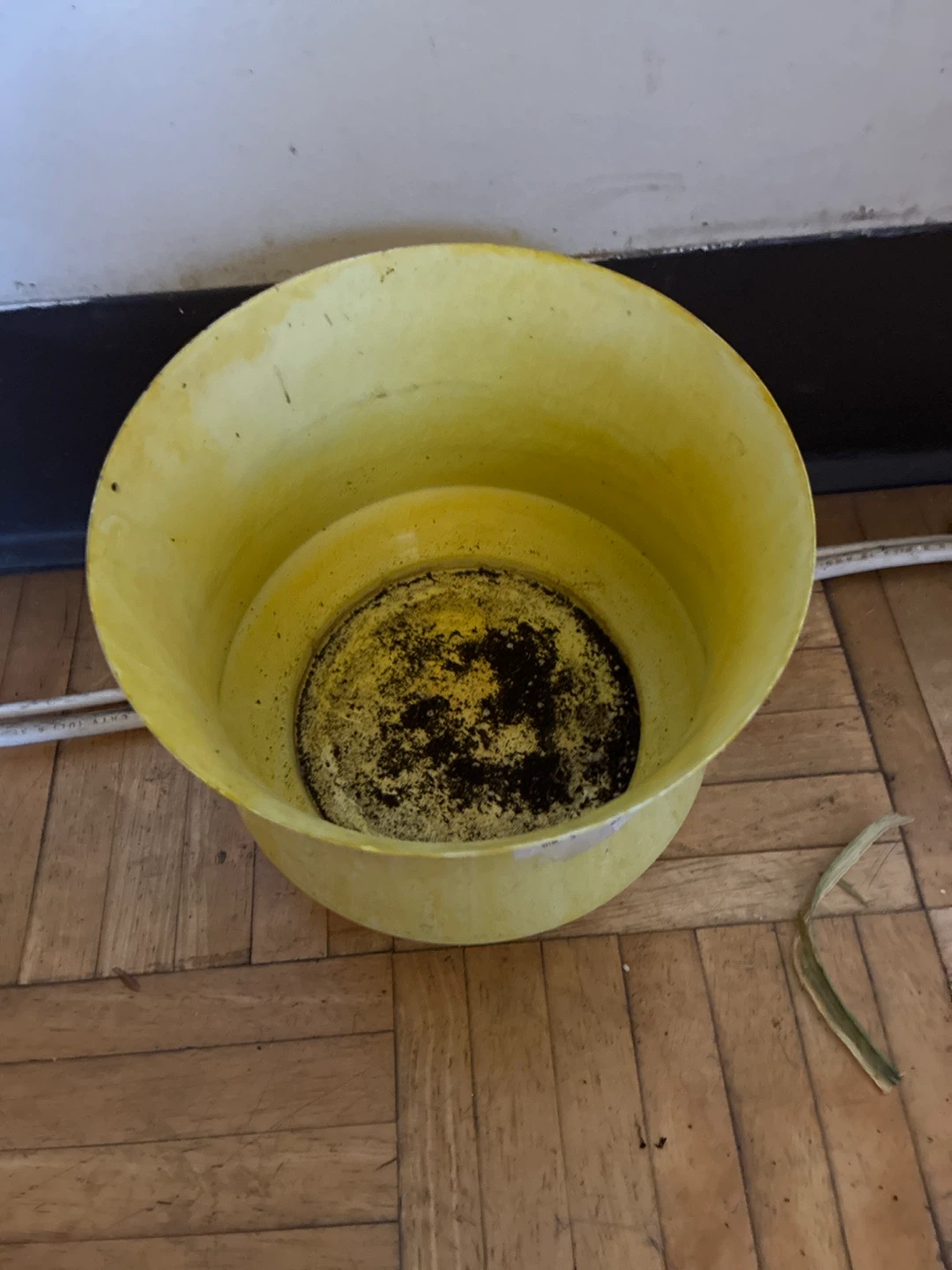 Yellow Plastic Plant Pot - photo 2