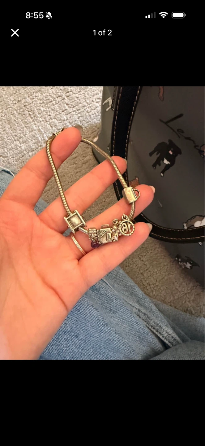 Pandora Bracelet with charms