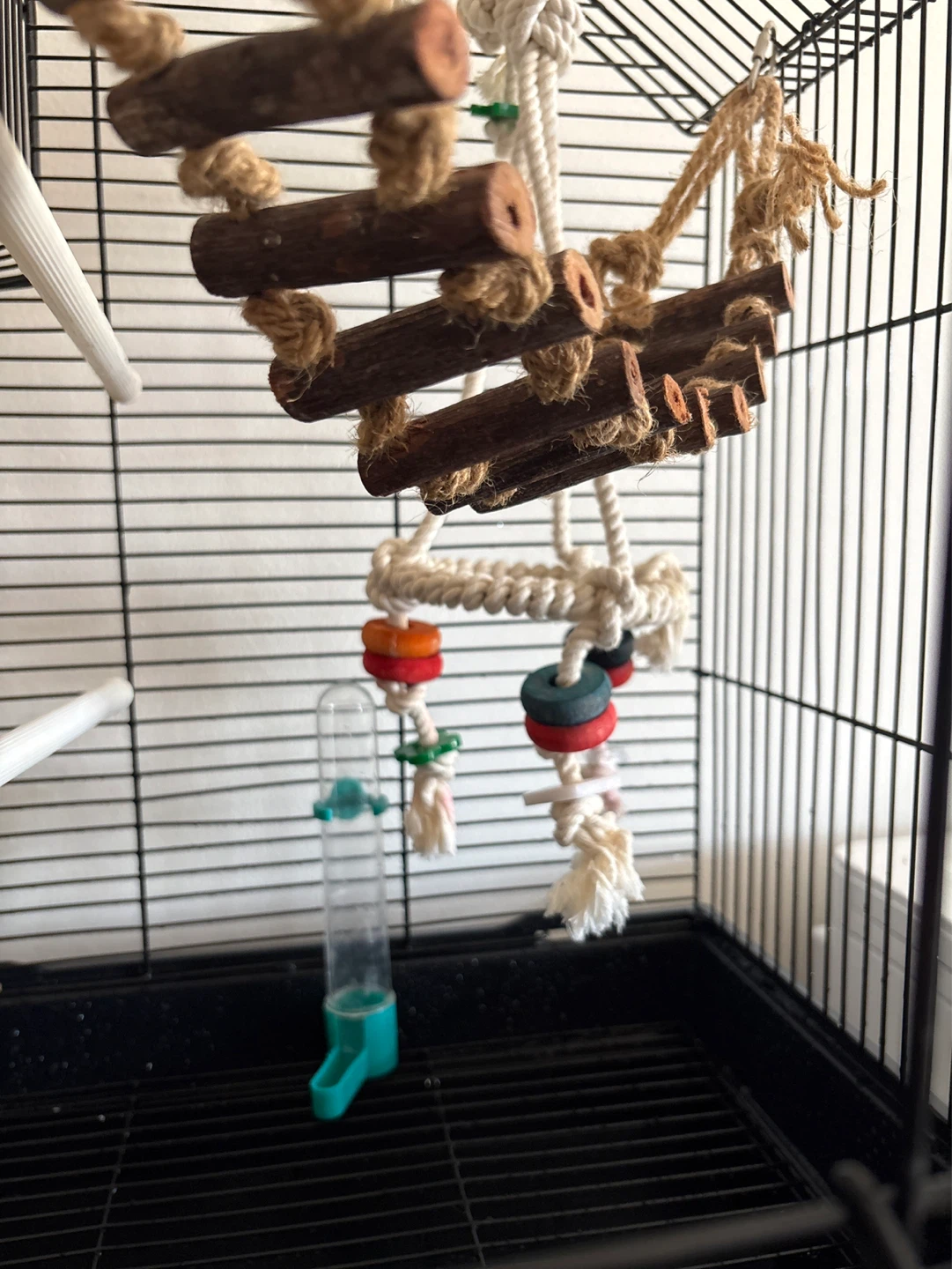 Black Bird Cage with Perches and Water Bottle - photo 2