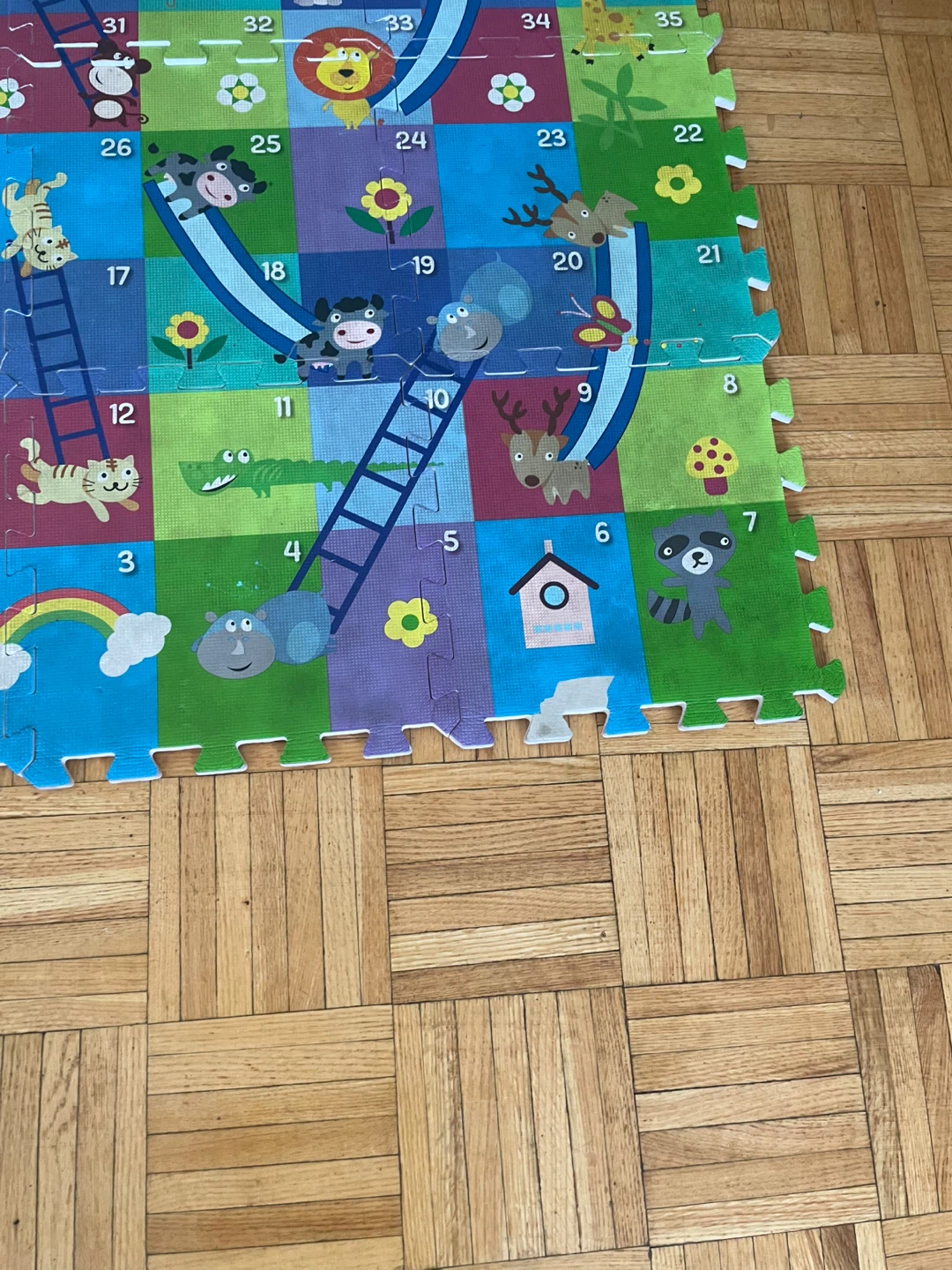 Snakes and Ladders Foam Play Mat