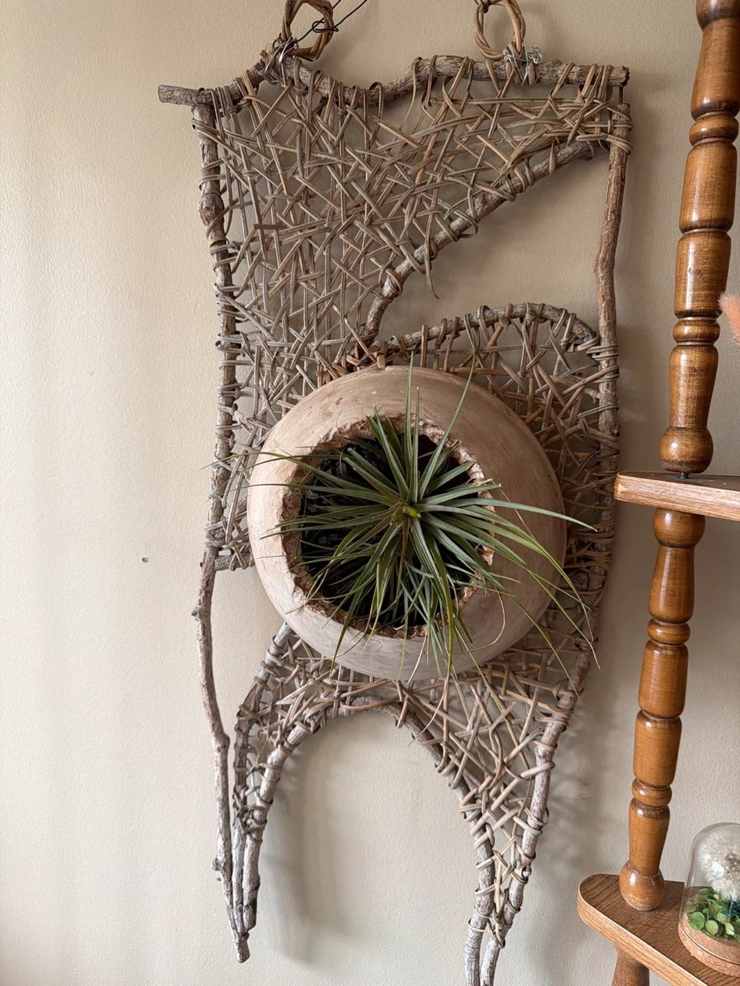 Wall hanging planter with air plant