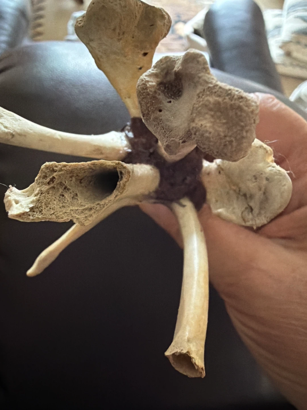 Animal Bones in flower shape - photo 2