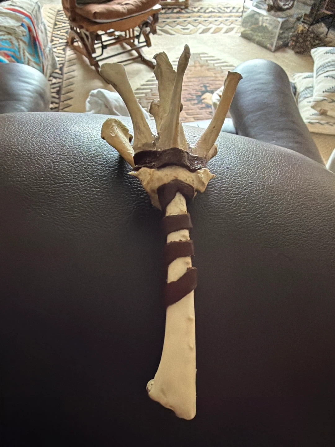 Animal Bones in flower shape