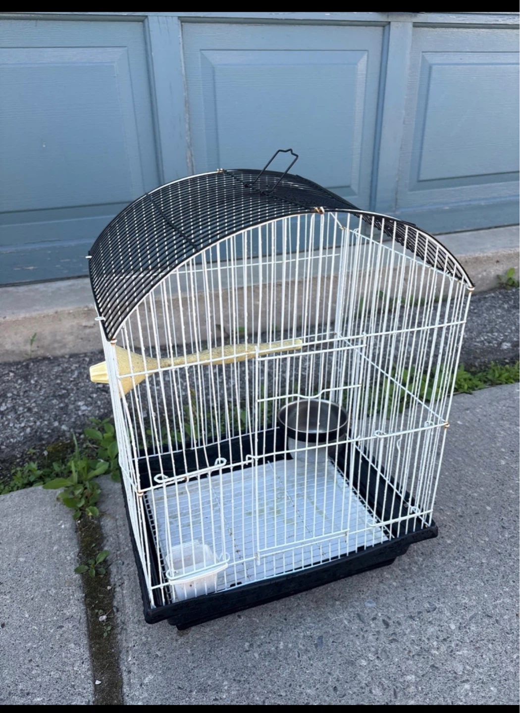 Bird Cage