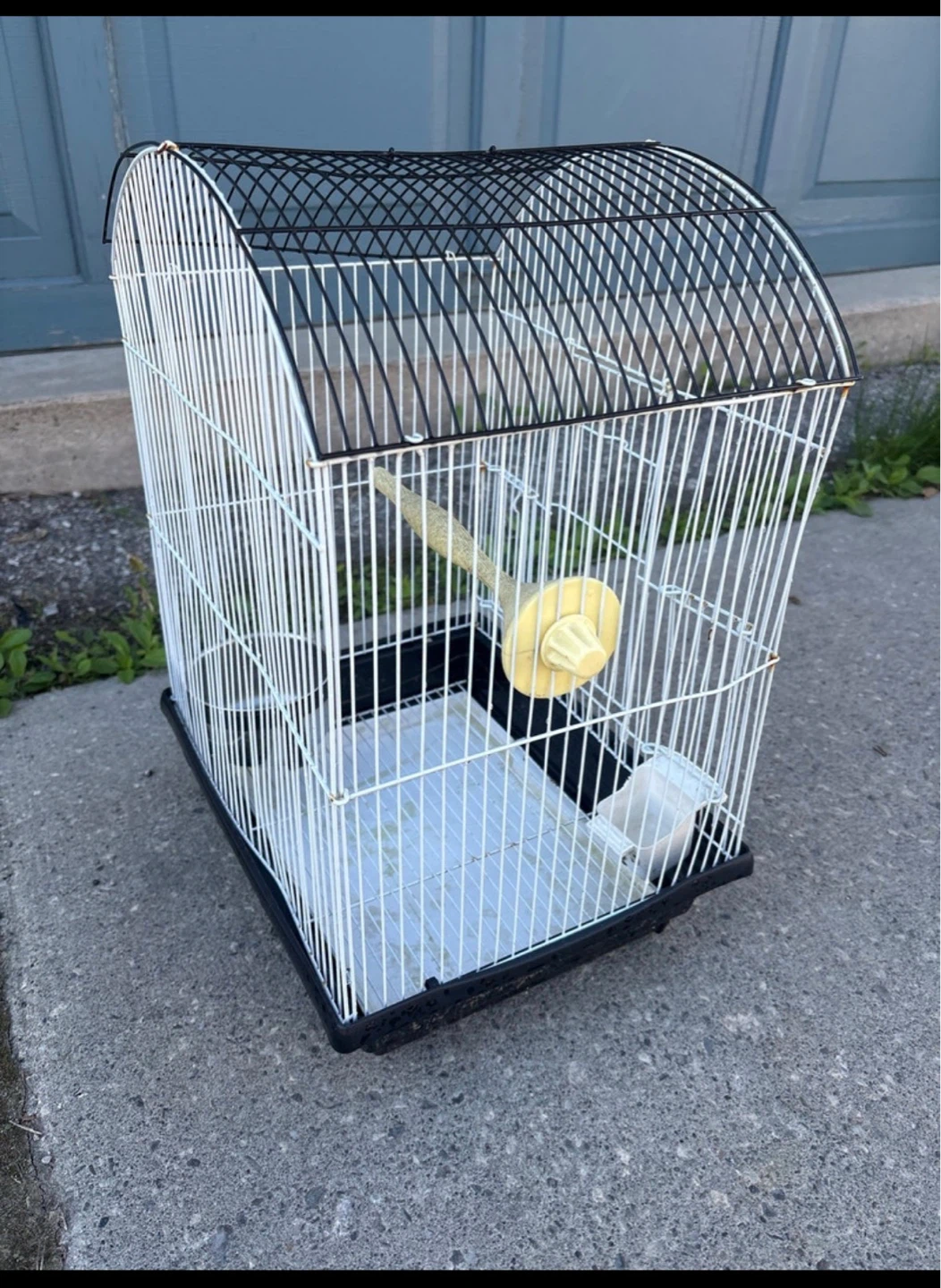 Bird Cage - photo 4