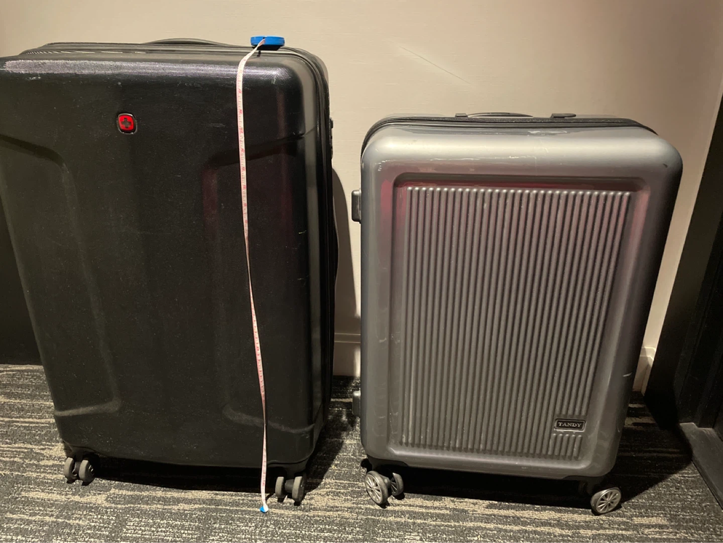 2 Checked Hard-Shell Rolling Suitcases