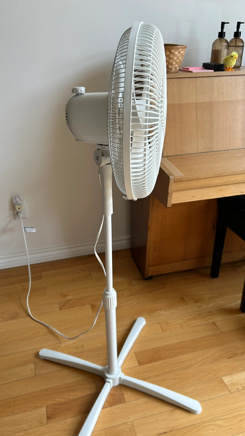 Living Basics Pedestal Fan - photo 2
