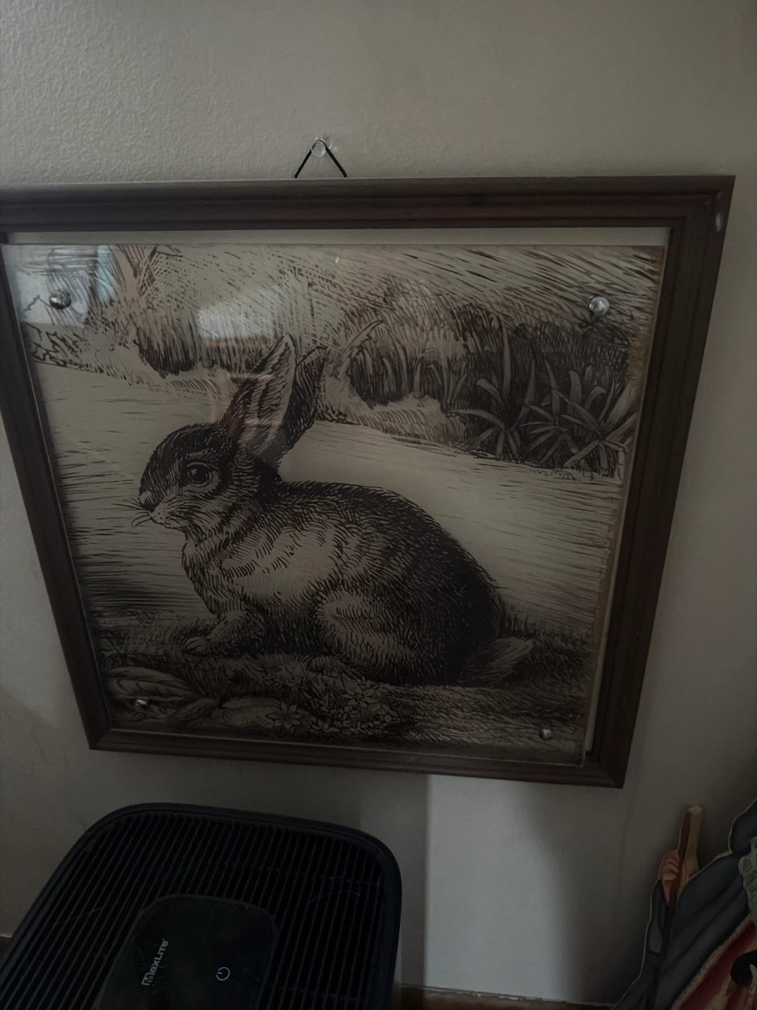 Framed Vintage Rabbit Sketch Art