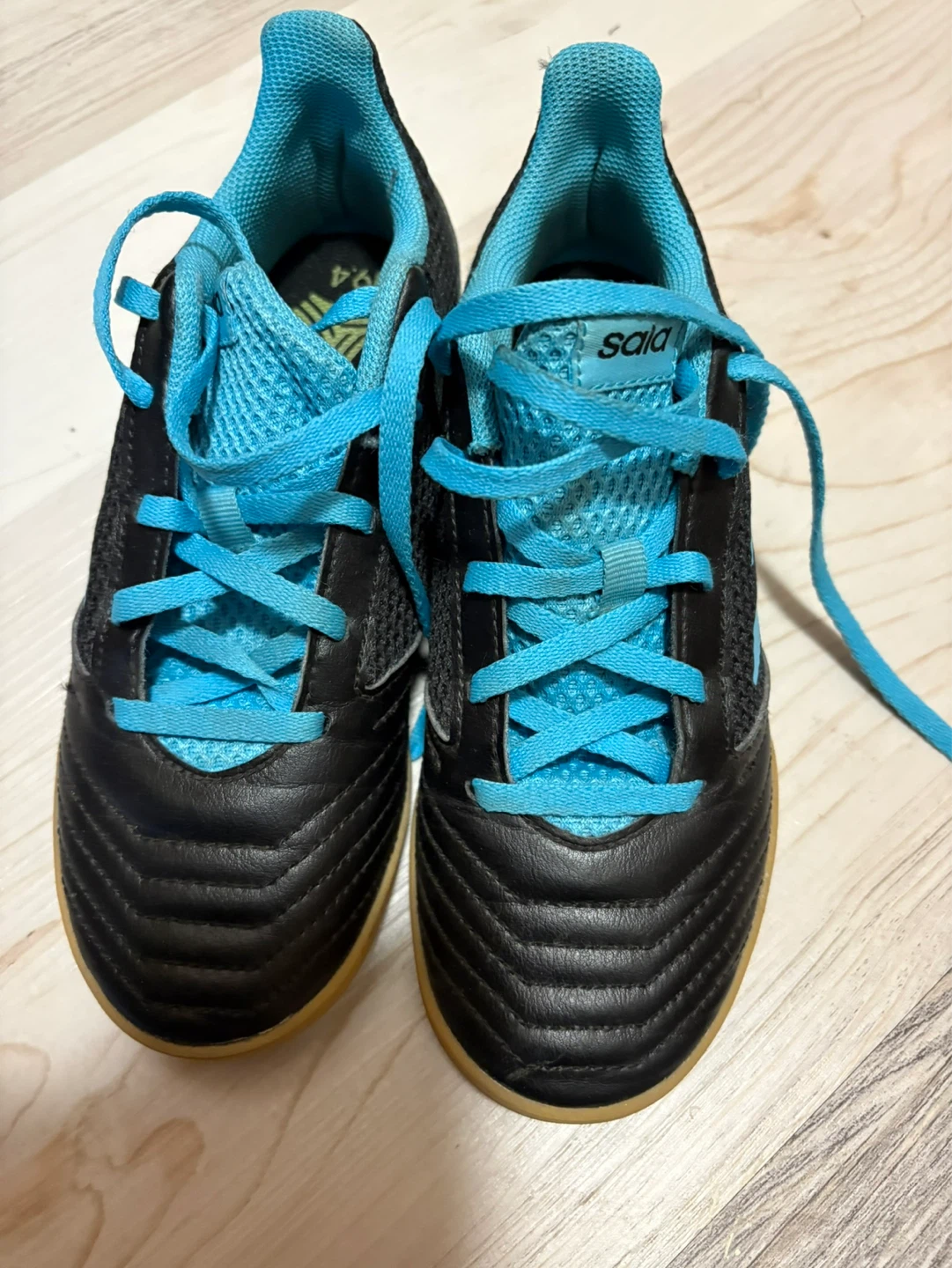 Adidas Predator Indoor Soccer Shoes