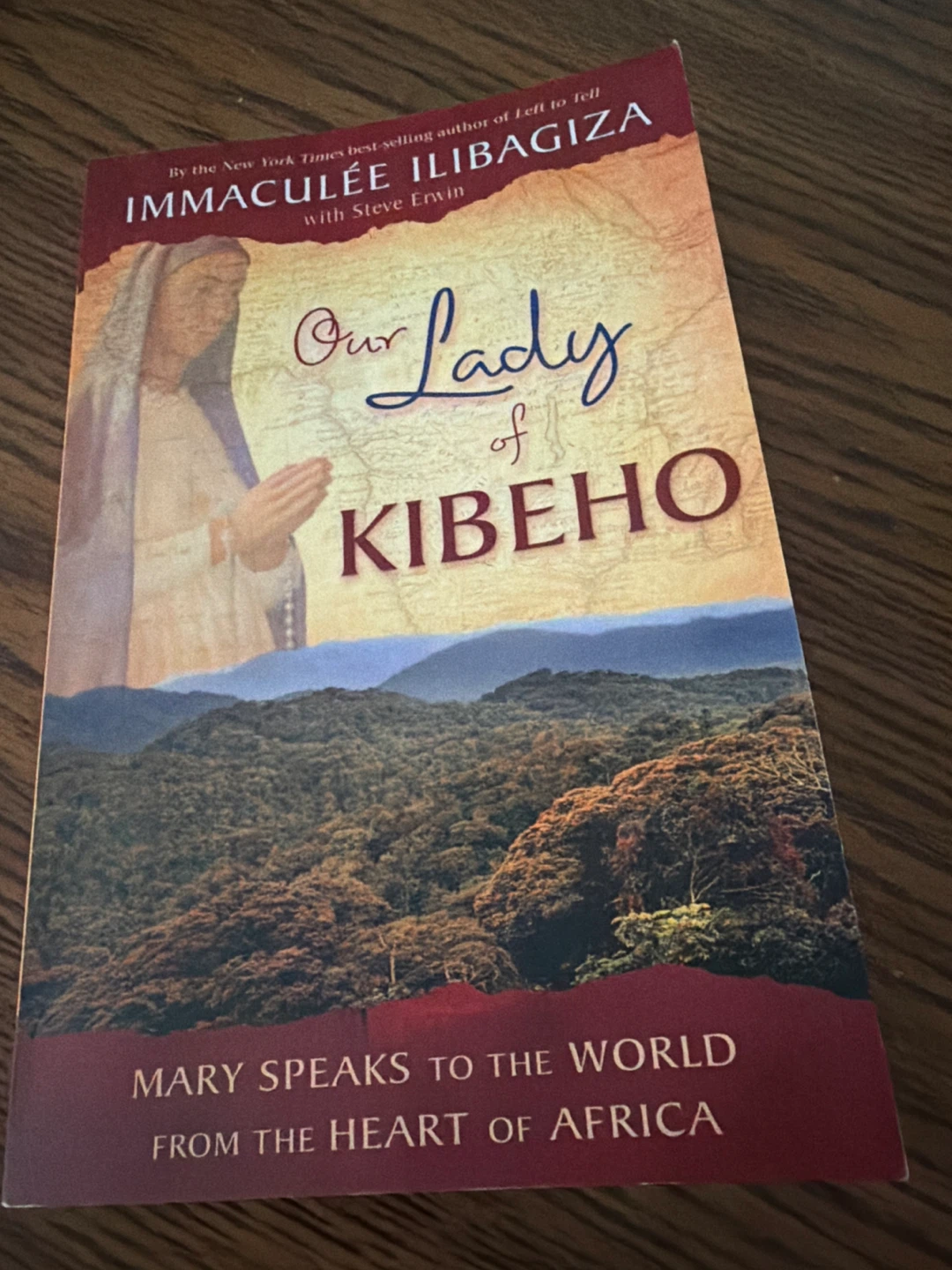 Our Lady of Kibeho by Immaculée Ilibagiza Book
