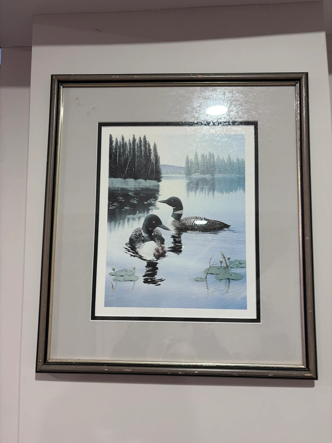 Framed Print of Loons on a Lake - photo 2