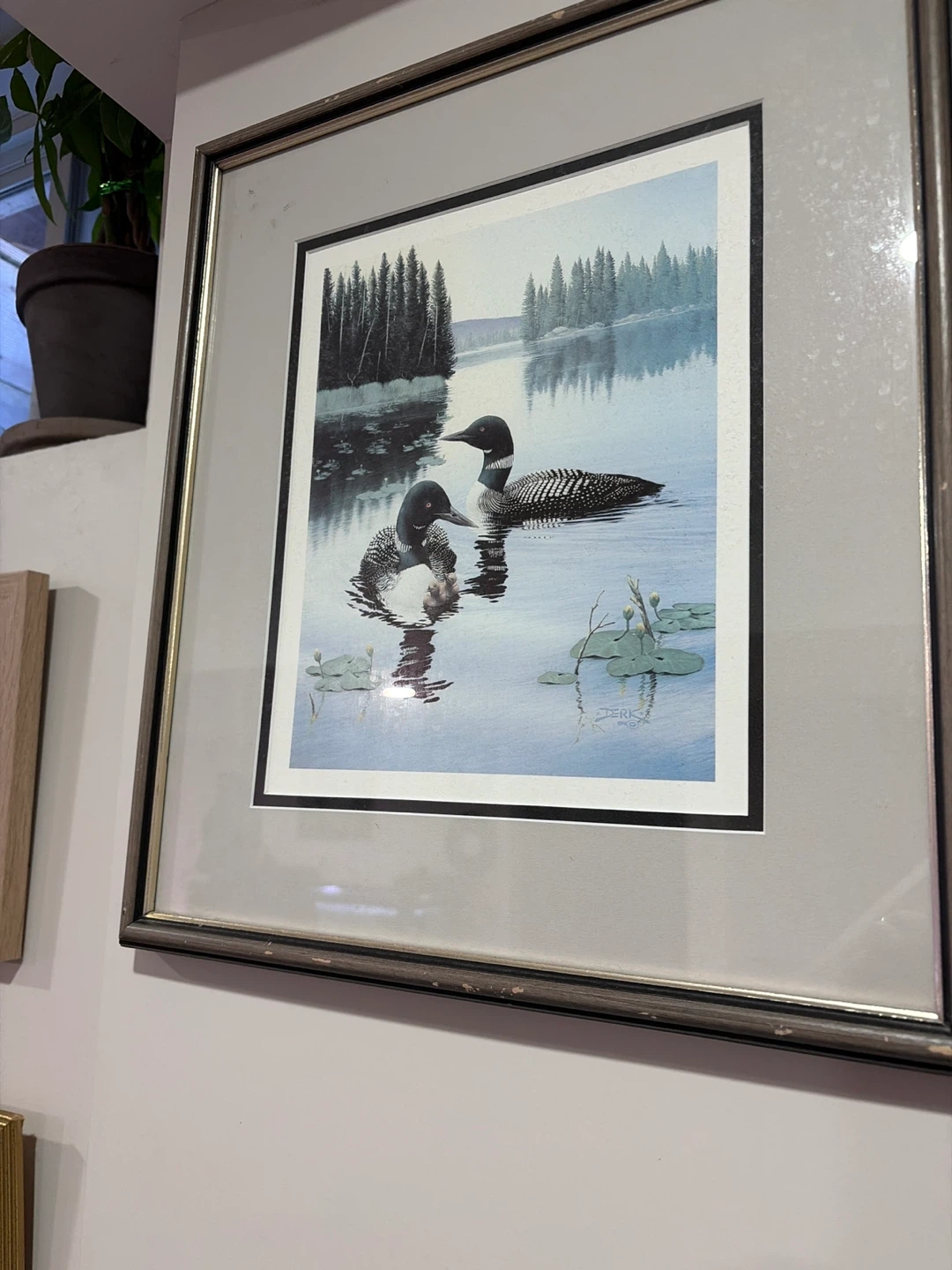 Framed Print of Loons on a Lake