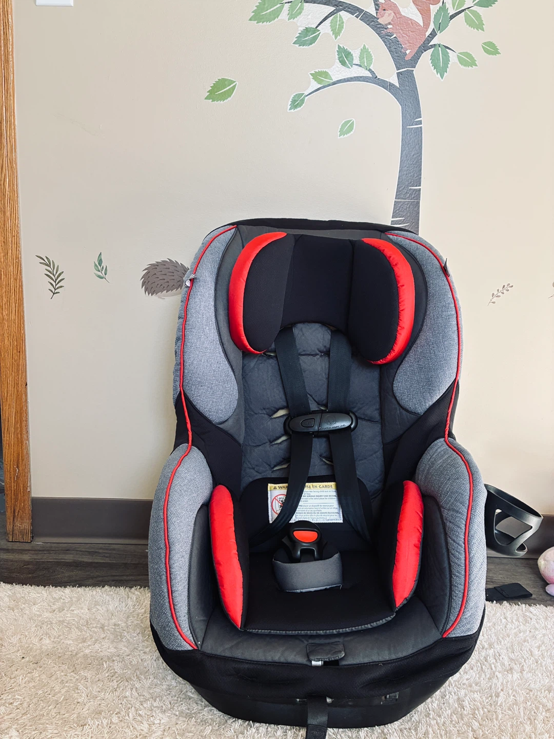 Evenflo SureRide Titan 65 Convertible Car Seat