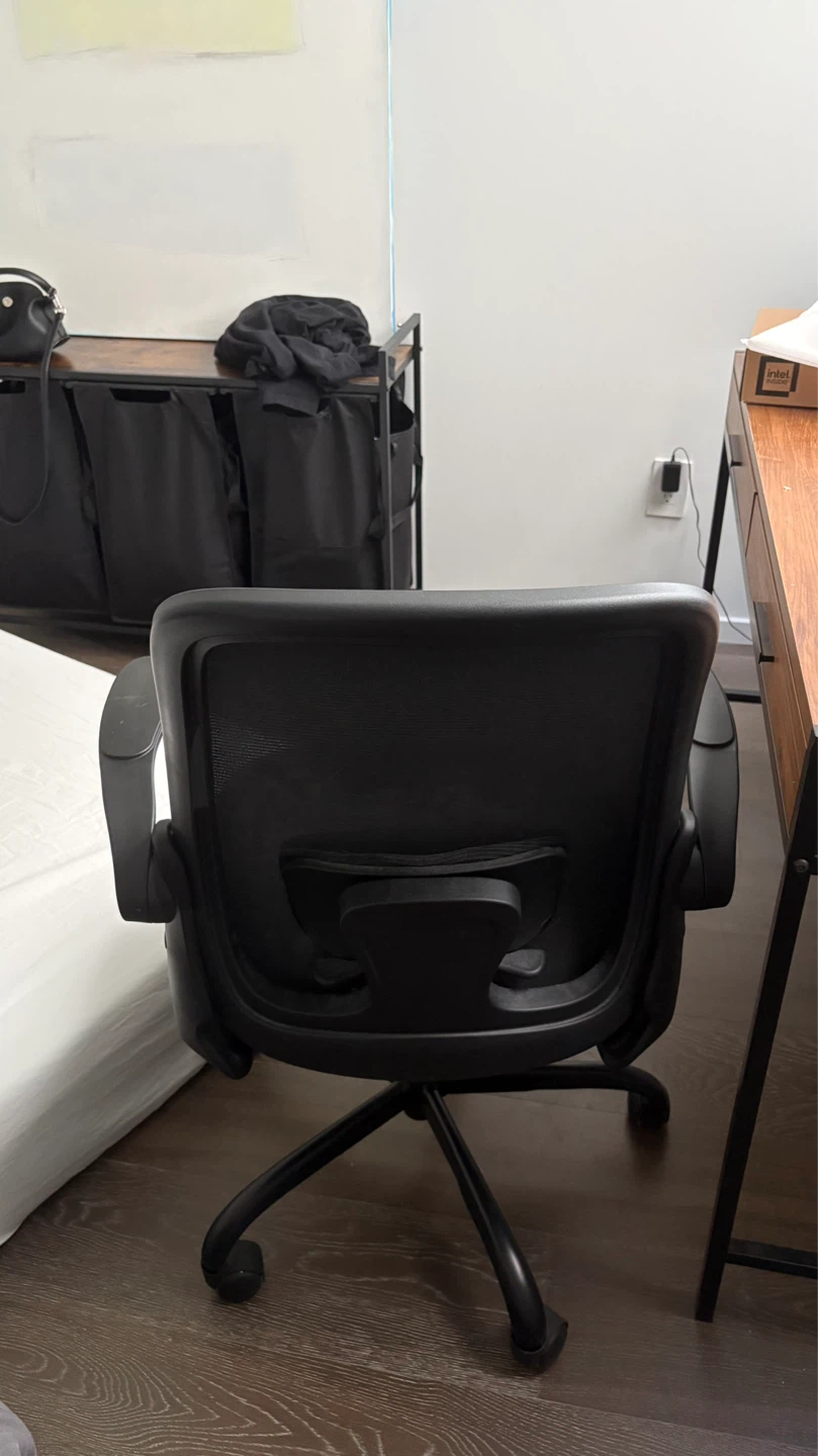 Winrise Ergonomic Desk Chair - Black - photo 3