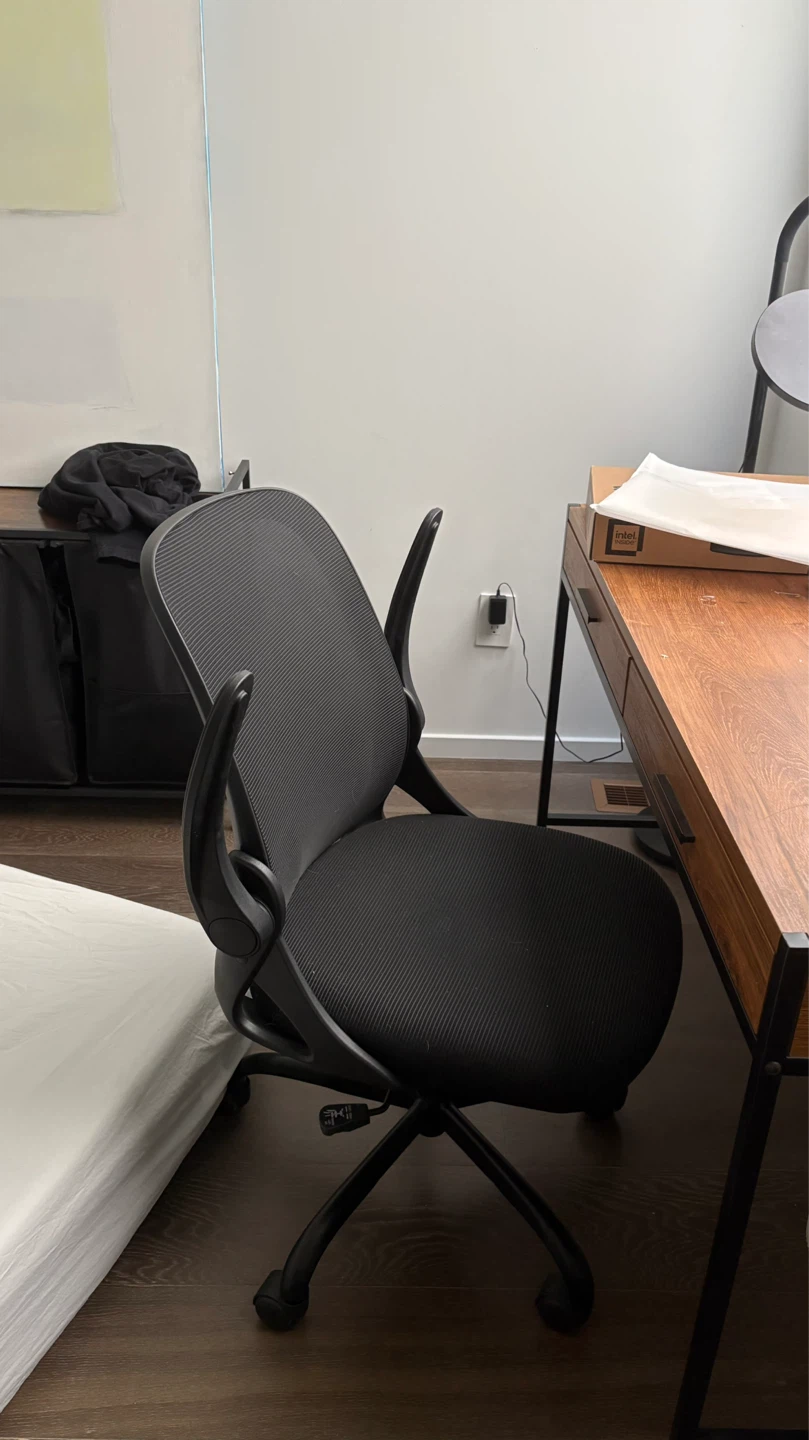 Winrise Ergonomic Desk Chair - Black