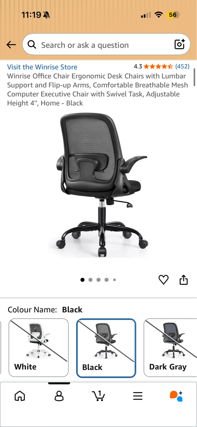 Winrise Ergonomic Desk Chair - Black - photo 4