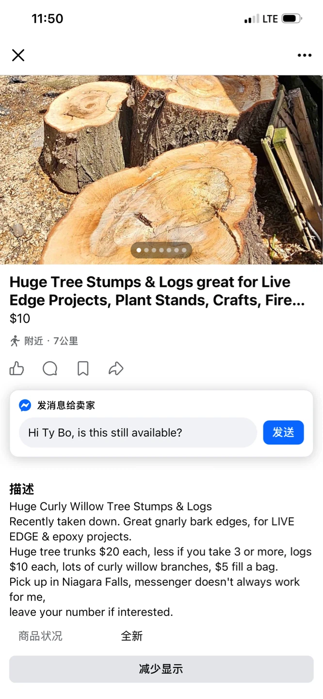 Tree Stumps & Logs for Projects