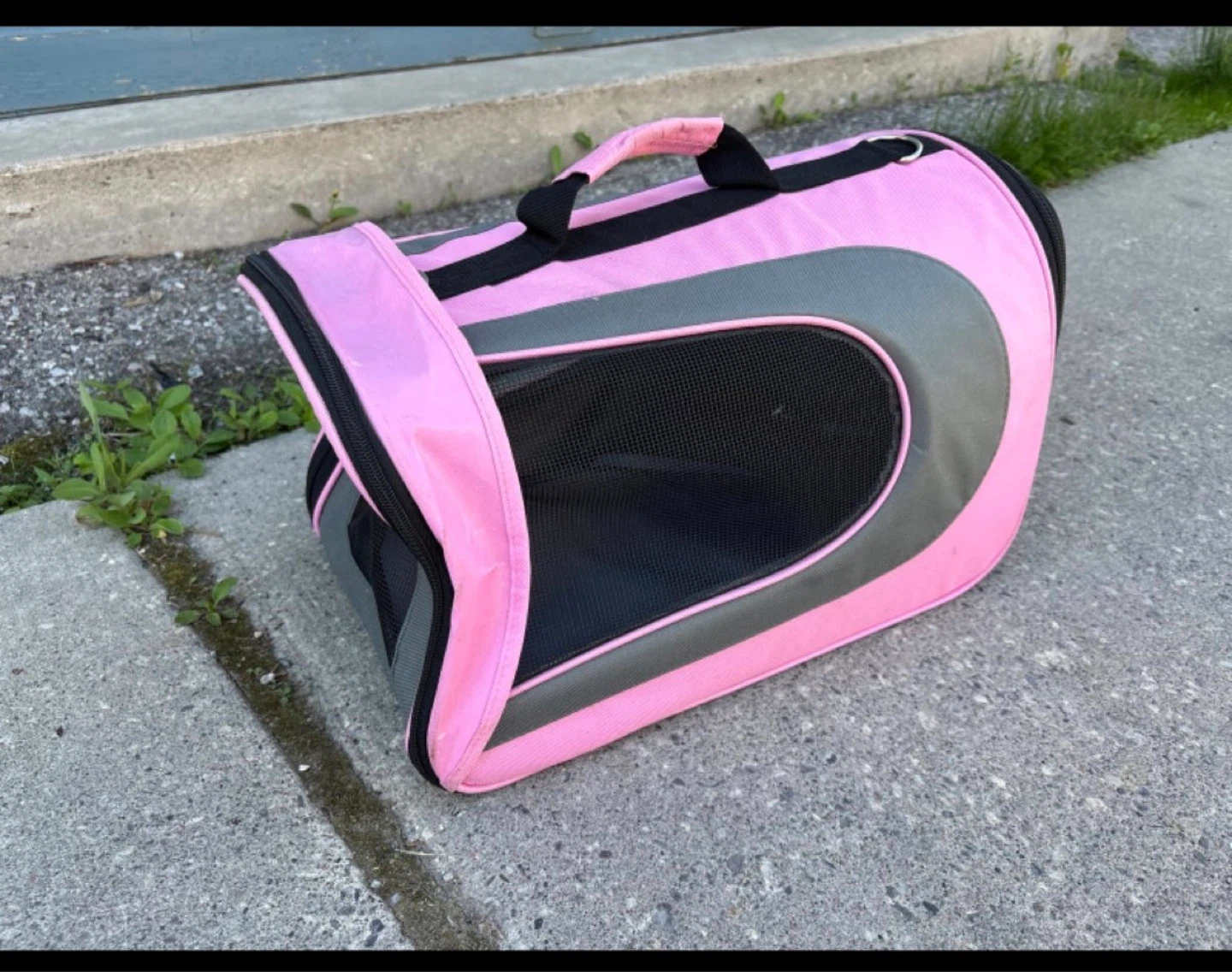 Pink Pet Carrier Bag