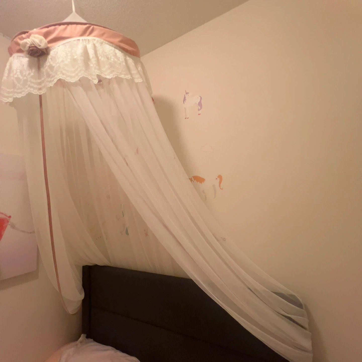 White Canopy with Pink Trim - photo 2