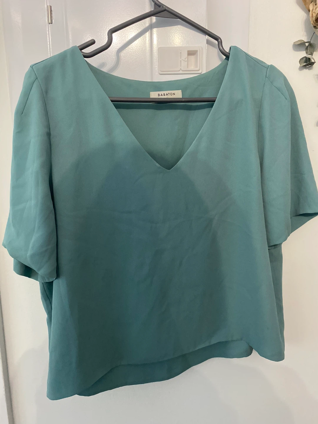 Babaton V-Neck blouse