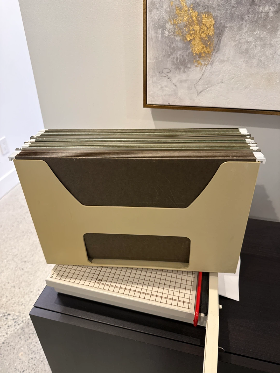 Hanging File Folder Caddy with Folders