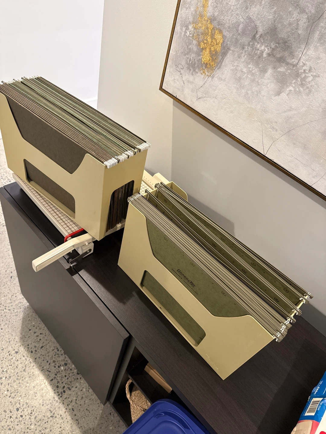 Hanging File Folder Caddy with Folders - photo 2