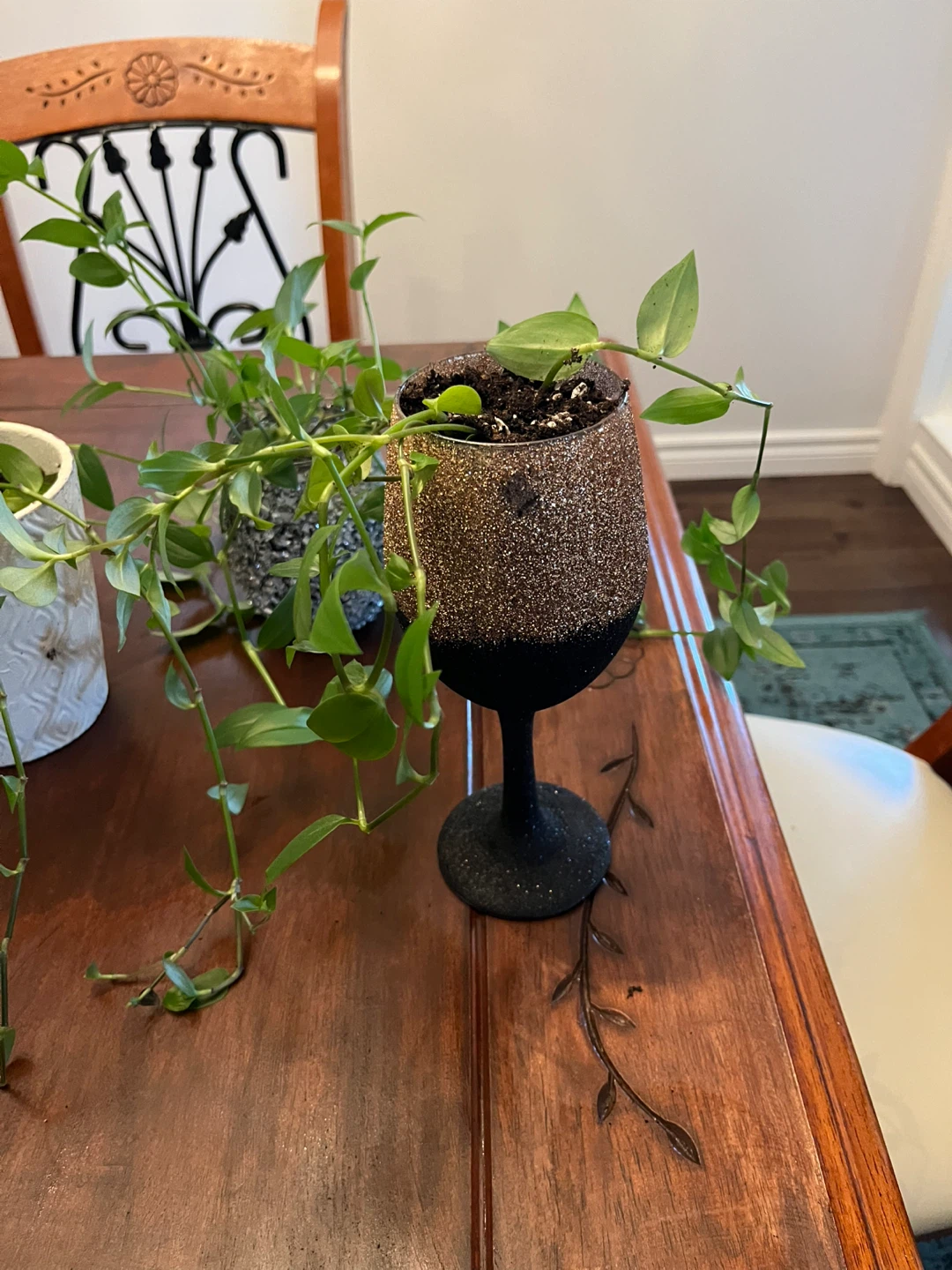 Hanging Plants in Decorative Pots - photo 2