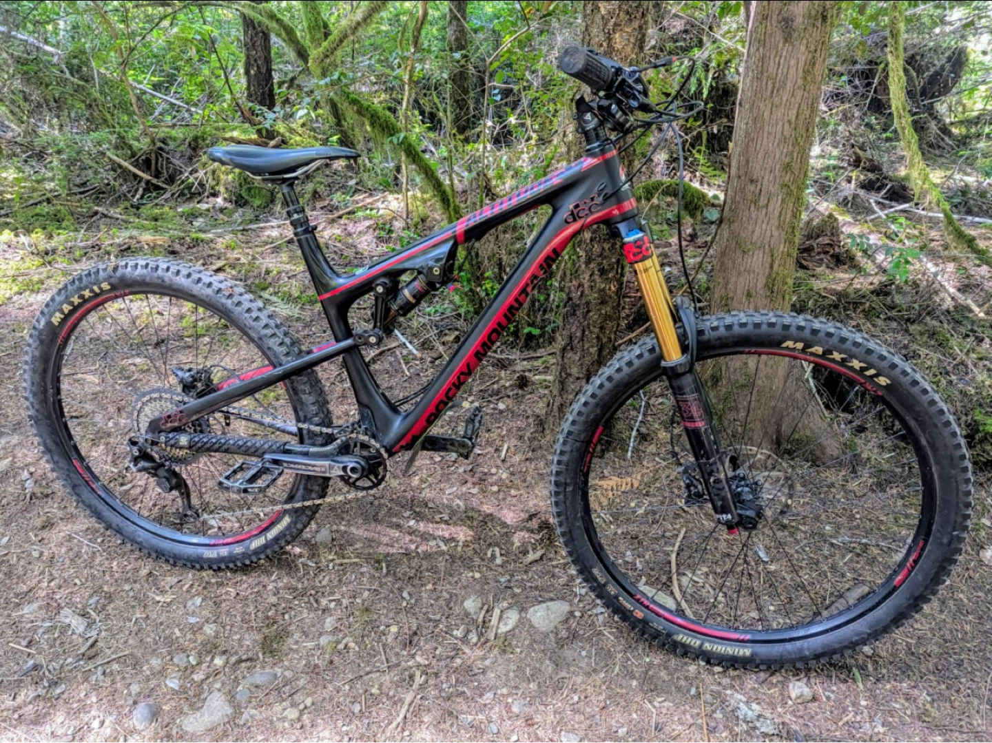 Full Carbon Rocky Mountain Altitude 770 MSL