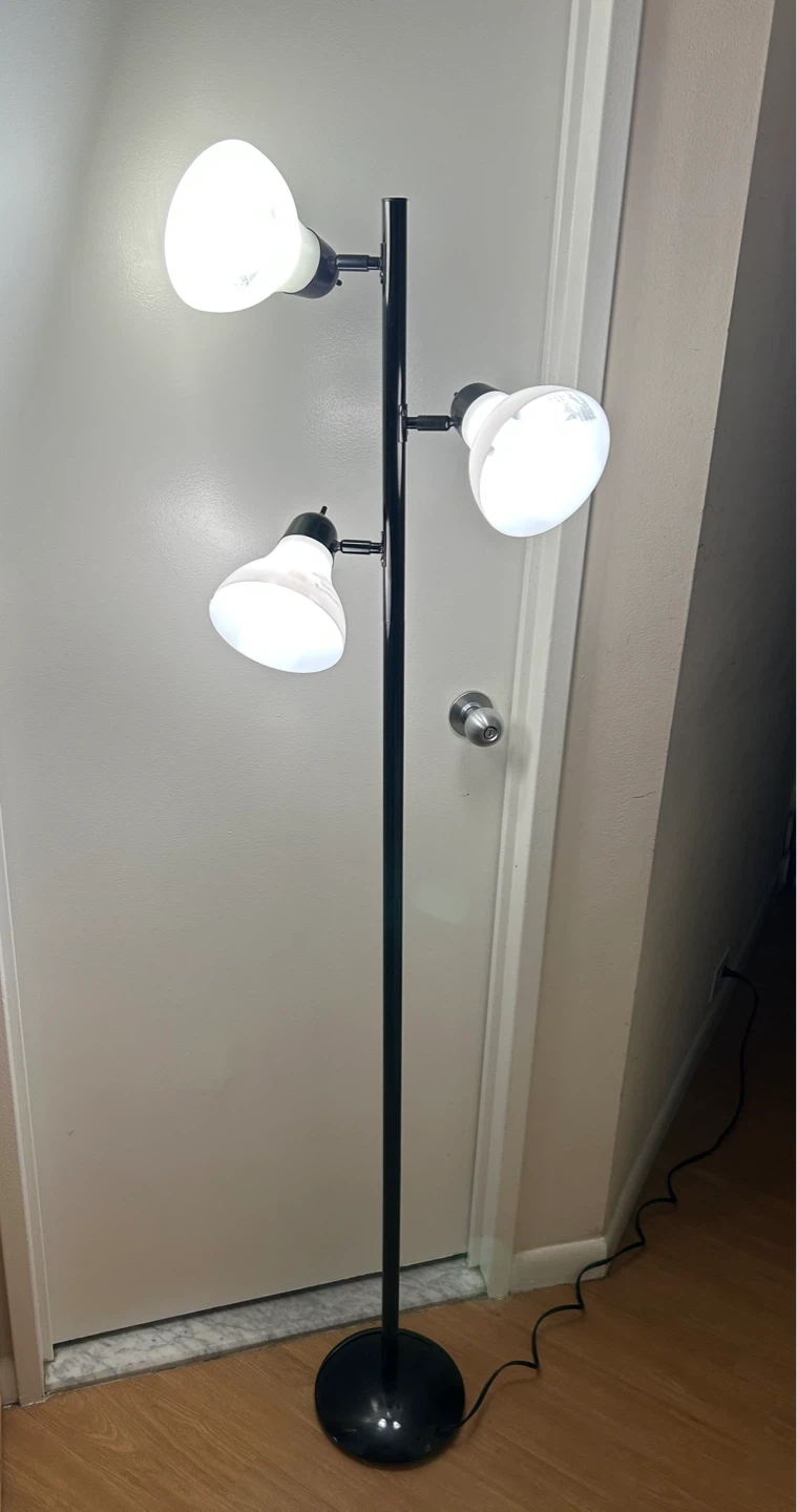 Black 3-Light Floor Lamp