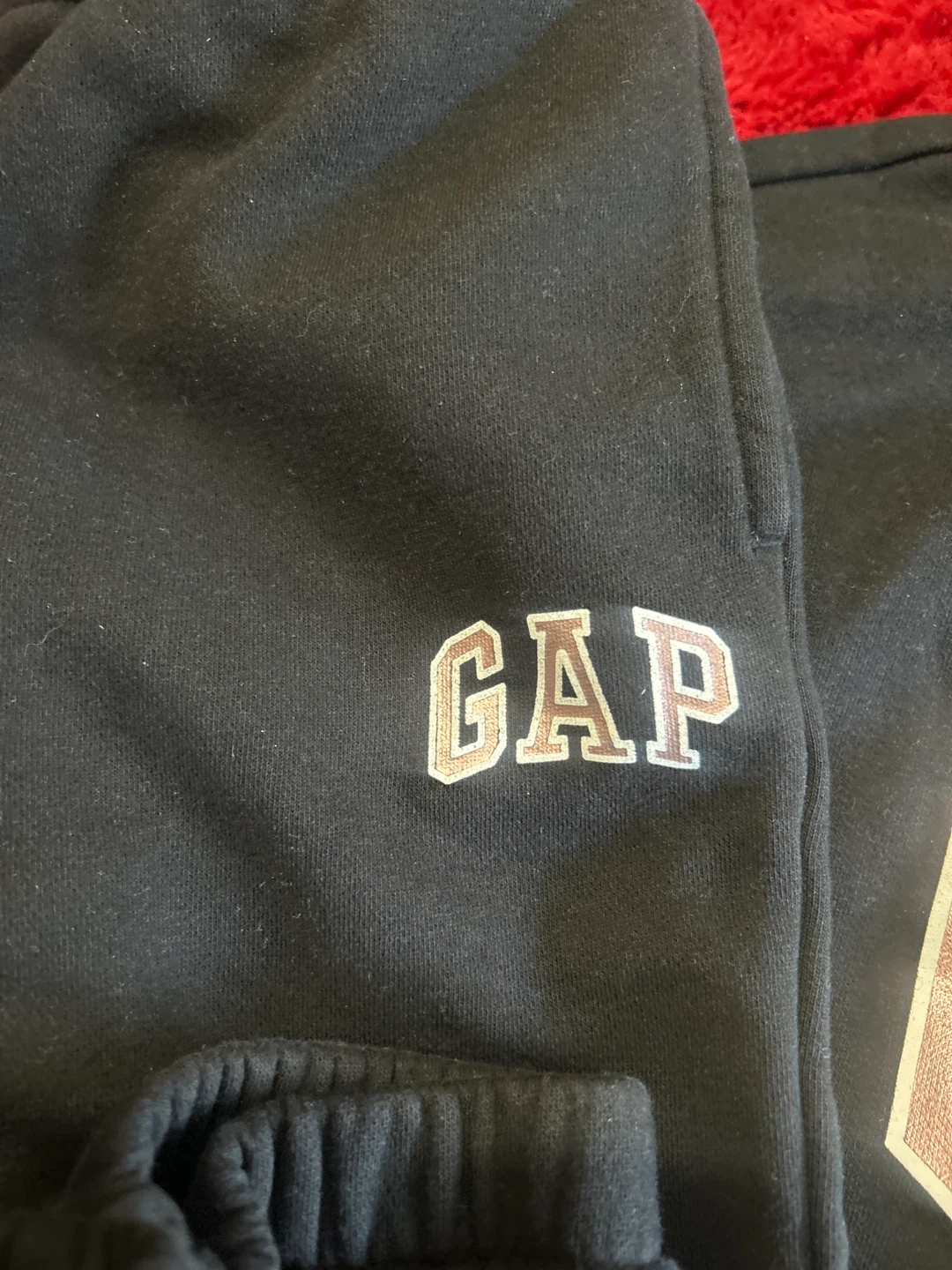 GAP Kids Hoodie and Pants Set - photo 3