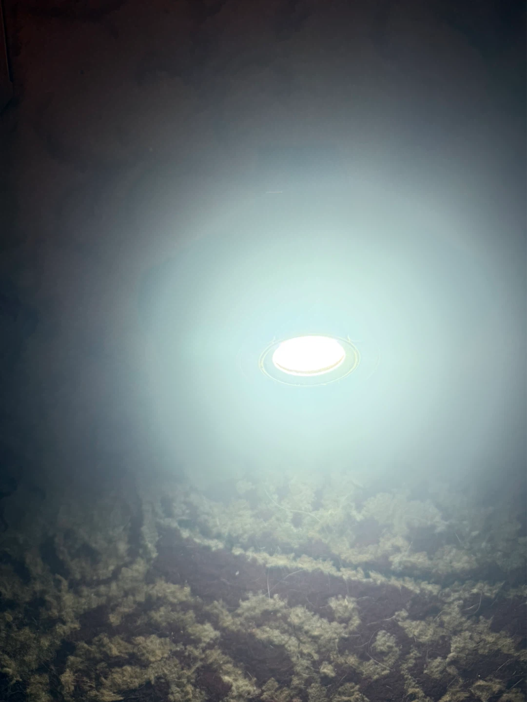 Defiant Work Light - photo 2