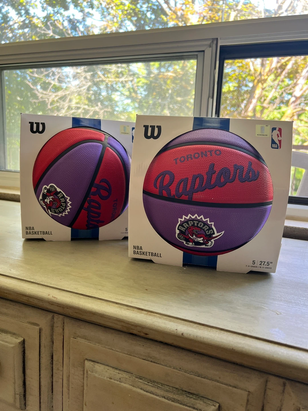 Wilson NBA Toronto Raptors Basketball Size 5