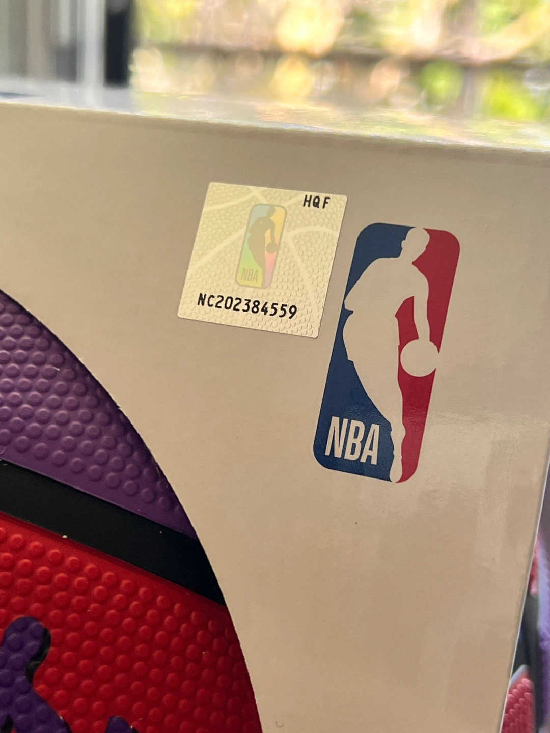 Wilson NBA Toronto Raptors Basketball Size 5 - photo 4