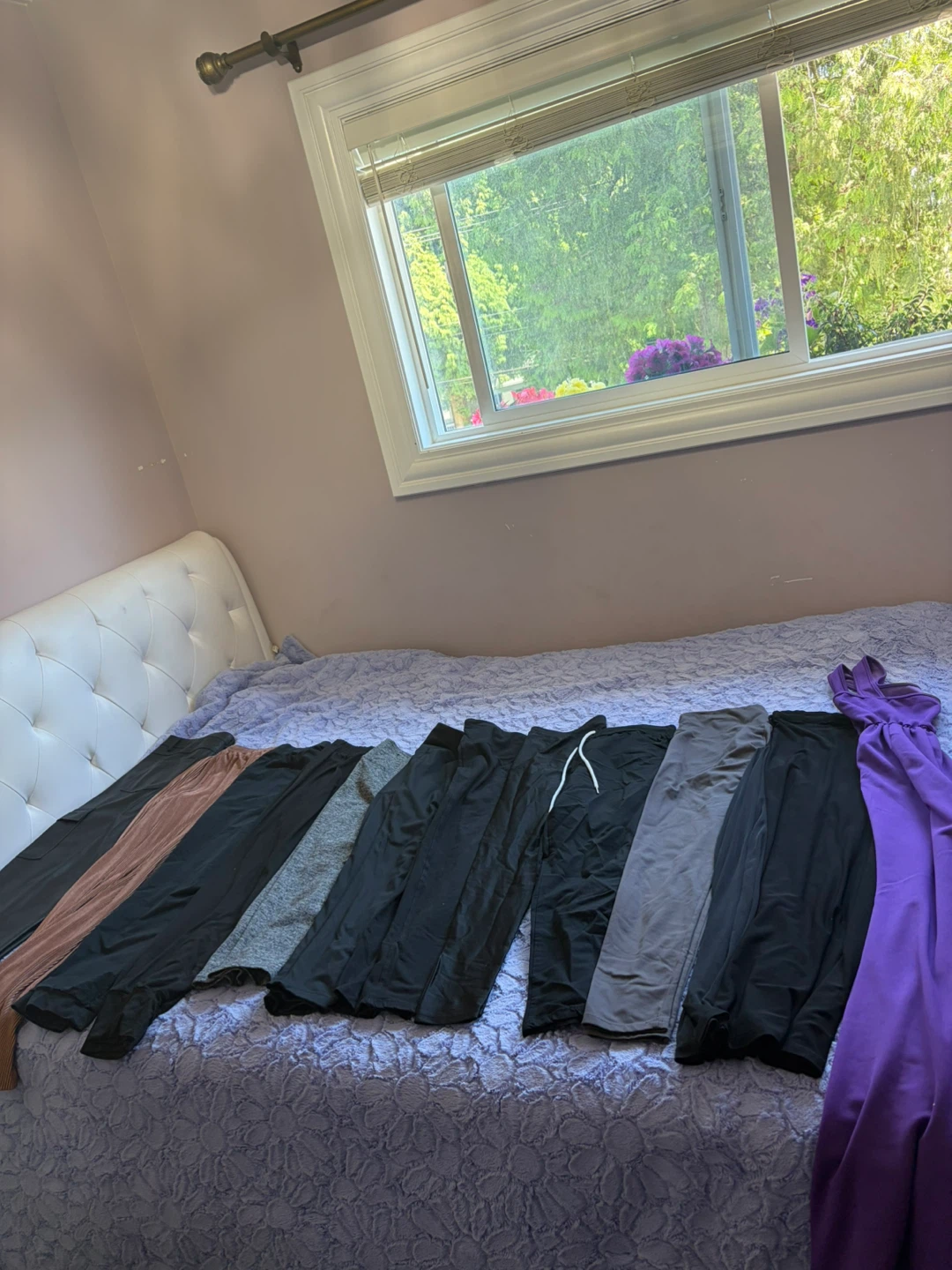 Assorted Women's Pants and Dress