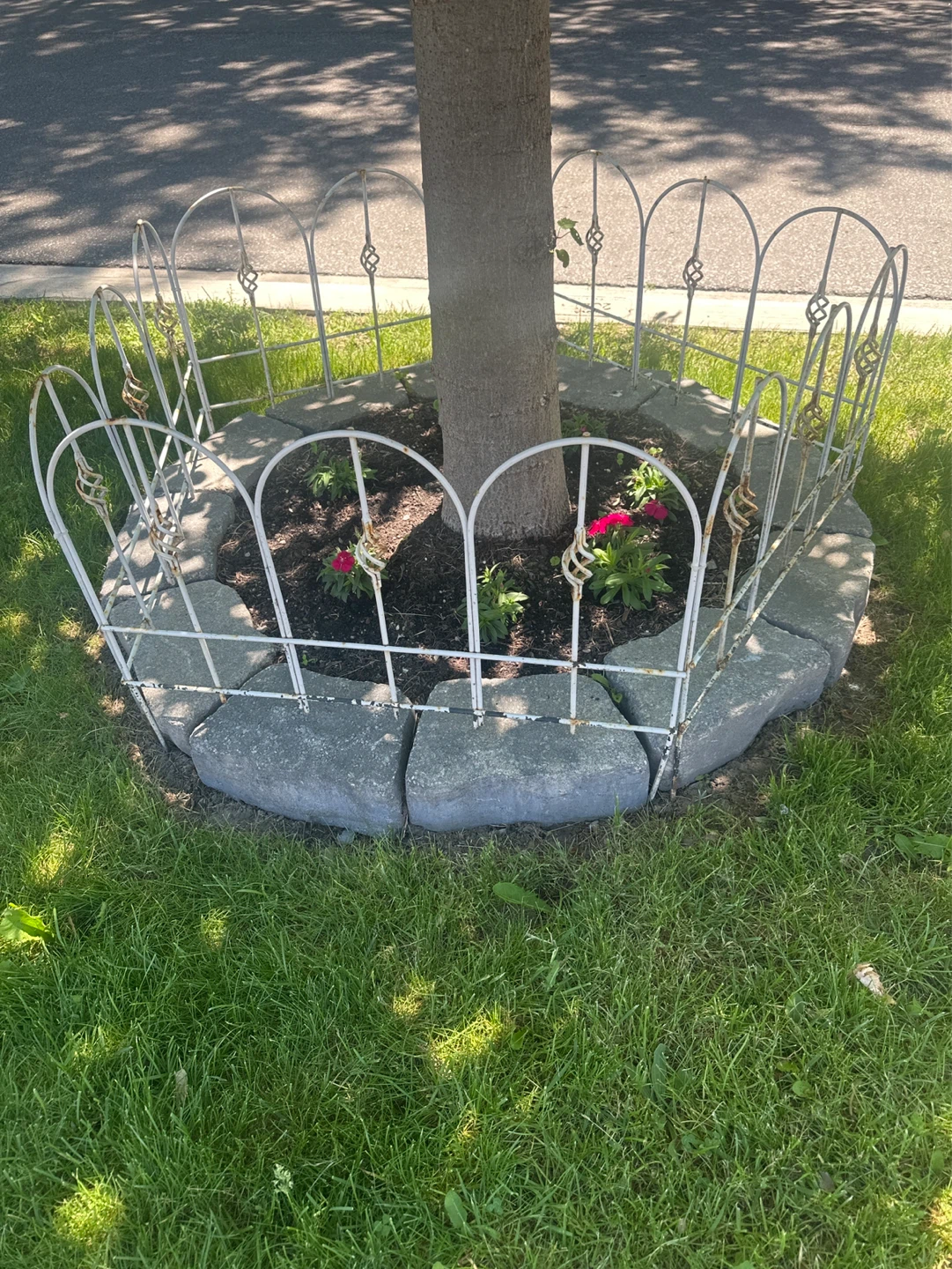 Garden Decorative Metal Border Fencing - photo 3