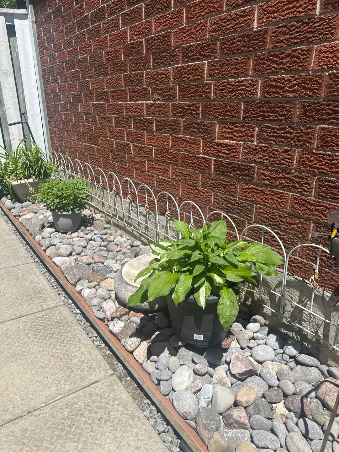 Garden Decorative Metal Border Fencing - photo 2