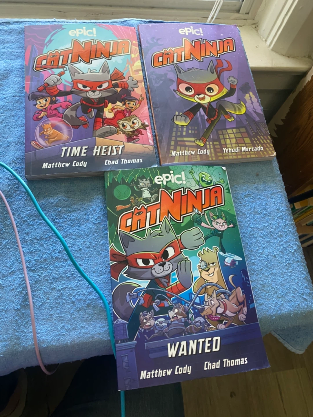Epic! Cat Ninja graphic novels