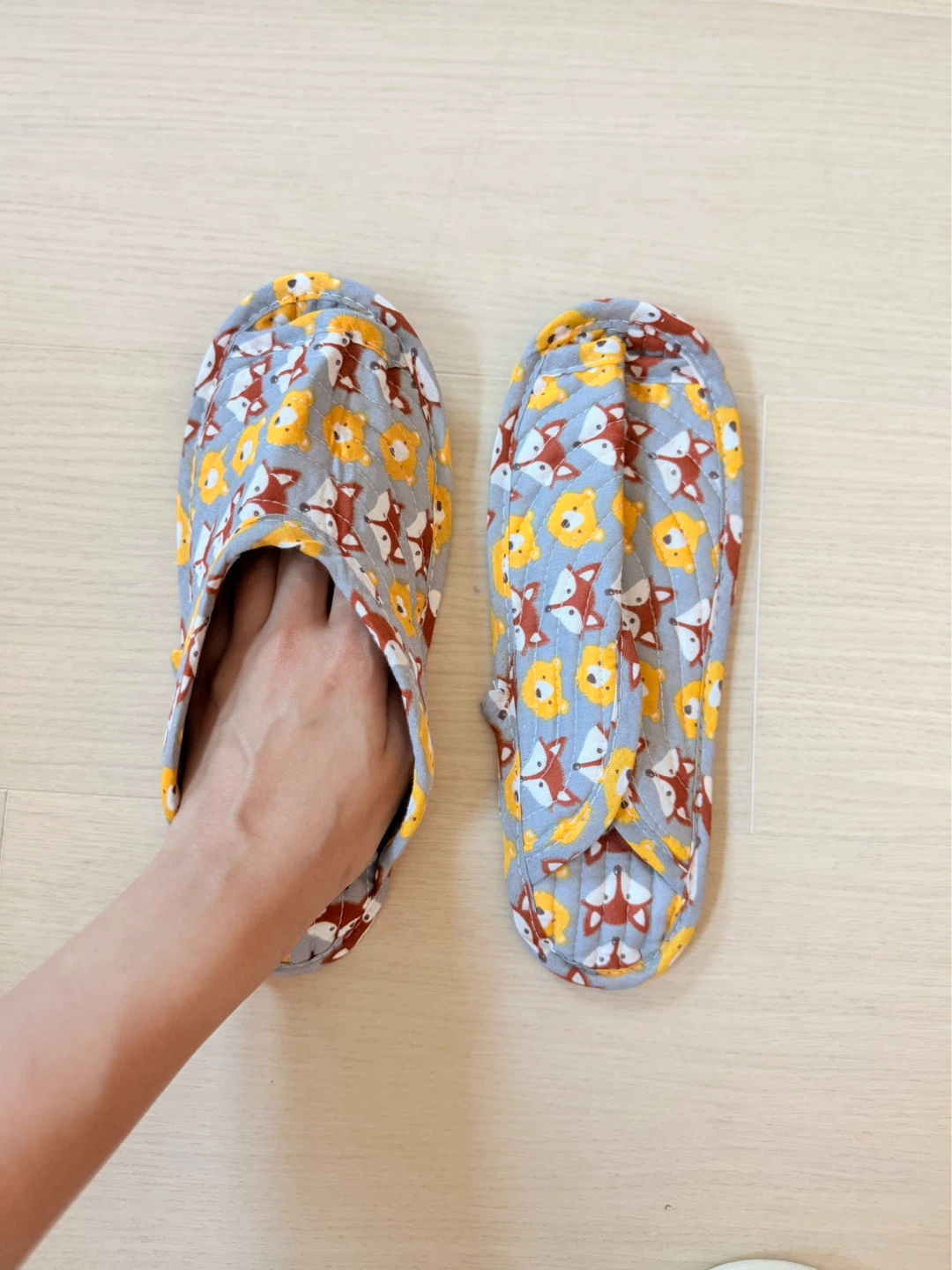 Cute Fox & Lion Slippers (size 7-9)