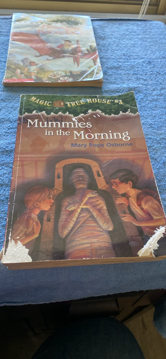 Magic Tree House Books 1, 2, 3, 4, 13 - photo 3